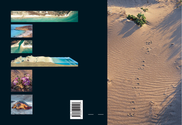 04 Cover Sand Dunes Beaches | PDF