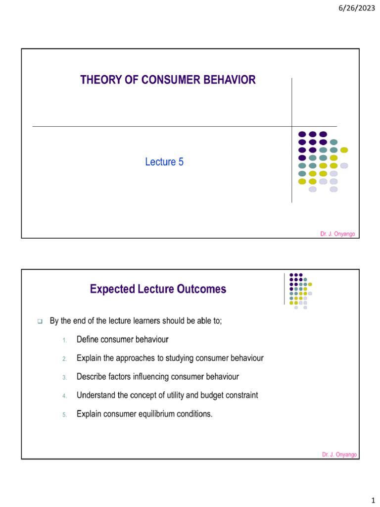 Lecture 5 - Theory of Consumer Behaviour | PDF