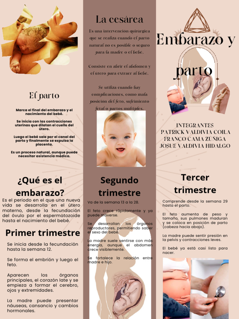 Embarazo y Parto - 20251109 - 134350 - 0000 | PDF | Parto | El embarazo
