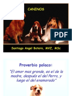 Alimentacion Canina y Felina PDF