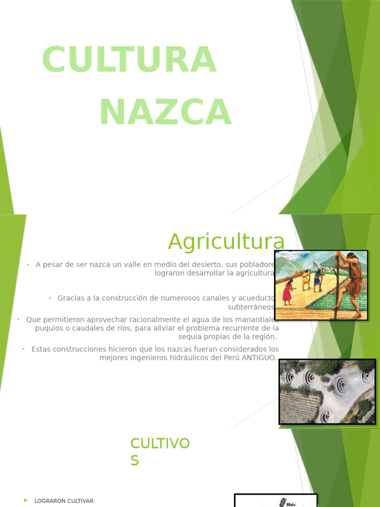nazca-pdf