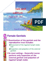 Genitals and Rectum