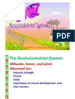 Musculoskeletal System Musculoskeletal System Musculoskeletal System Musculoskeletal System