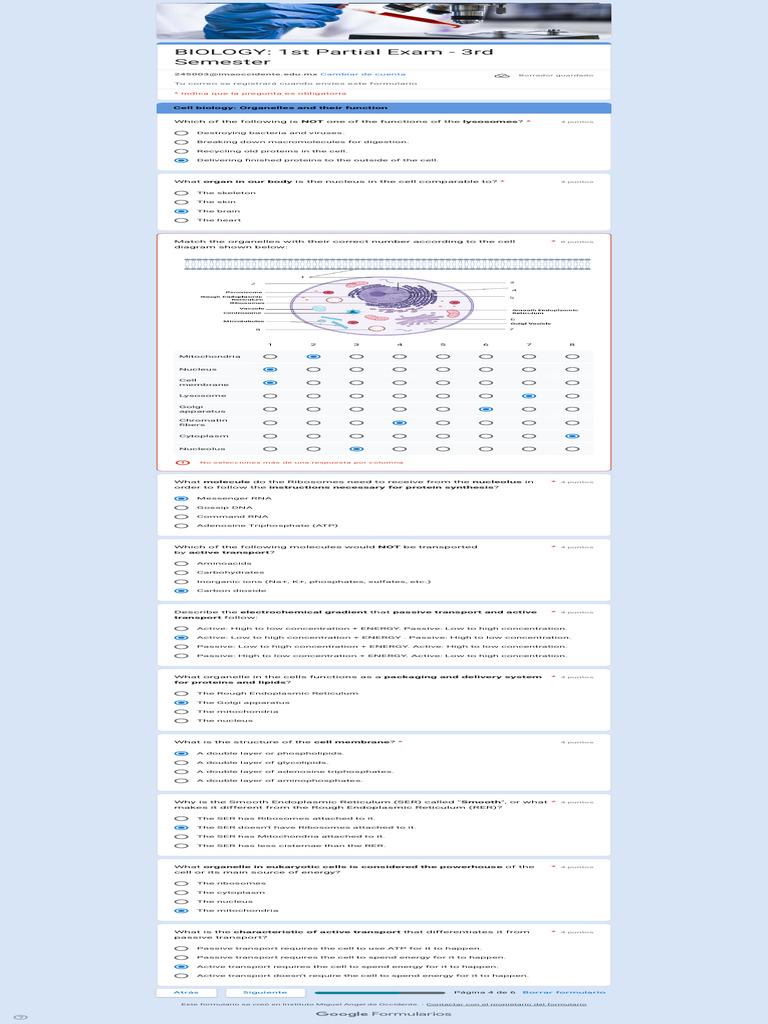 BIOLOGY 1st Partial Exam - 3rd Semester | PDF | Endoplasmic Reticulum ...