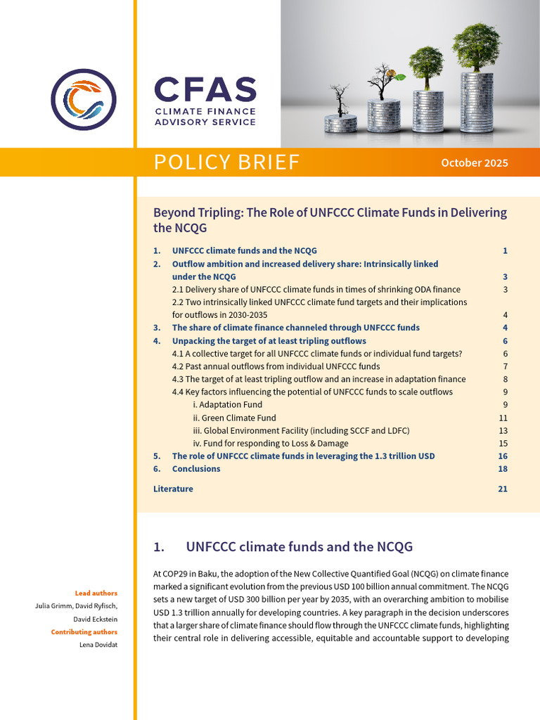 UNFCCC Climate Funds and NCQG Analysis | PDF | United Nations Framework ...
