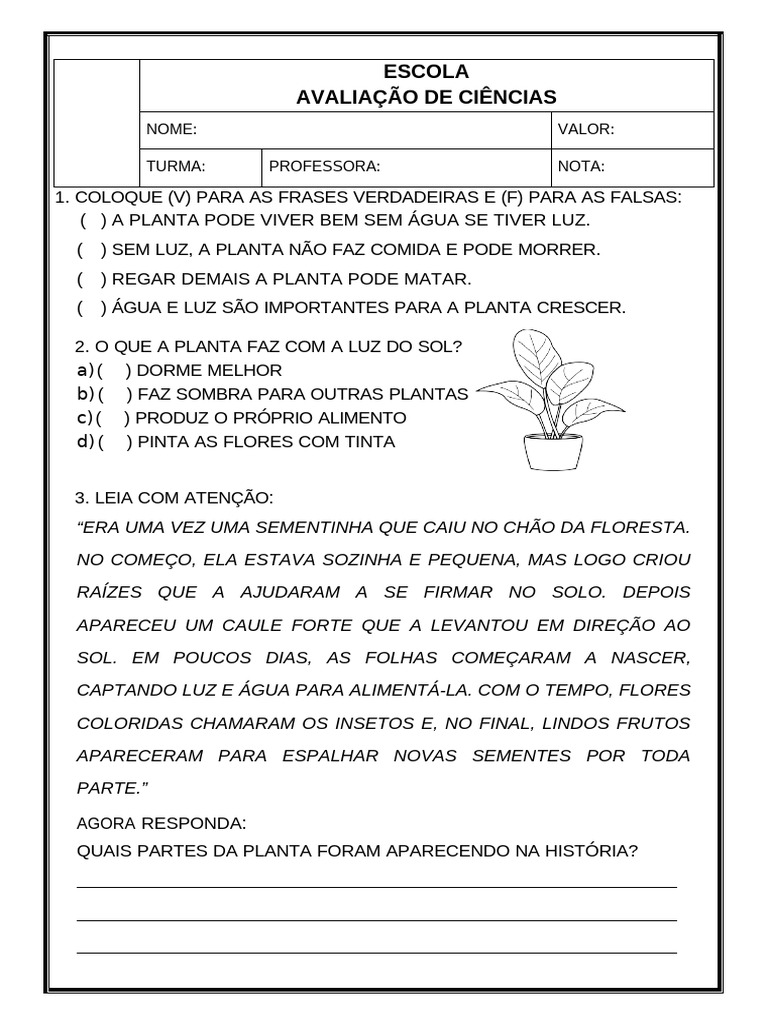Avaliação de Ciências para Alunos | PDF | Plantas | Semente