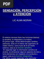 Sensacion, Percepcion y Atencion