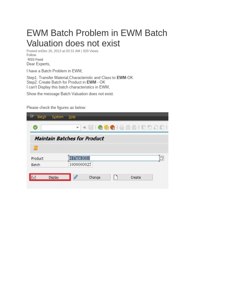 EWM Batch Valuation Issue Solutions | PDF | Computing