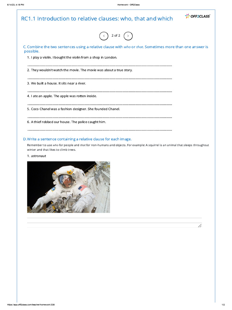 Relative Clauses Homework Exercise | PDF