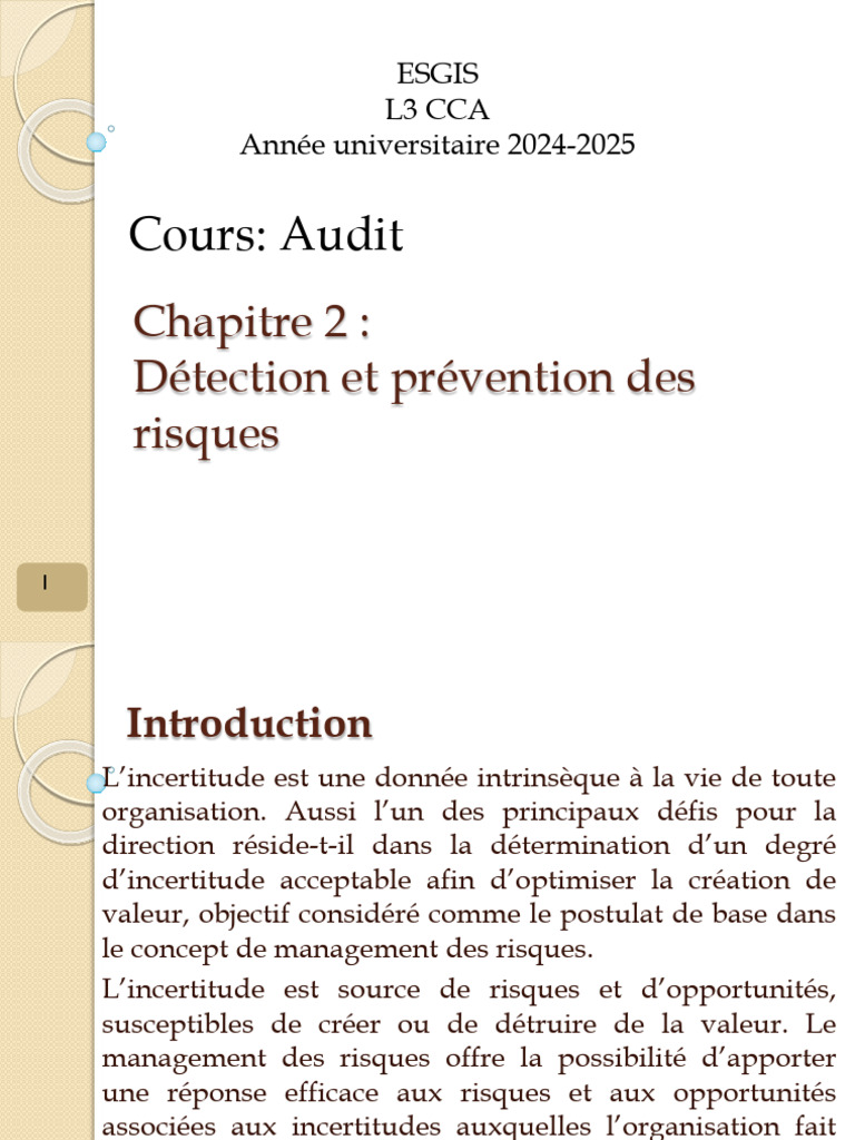 Gestion des Risques en Audit Comptable | PDF | Contrôle interne | Audit