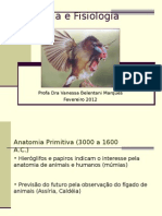 Anatomia Animal