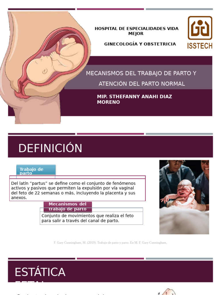 Mecanismos y Atención del Parto Normal | PDF | Parto | Pelvis