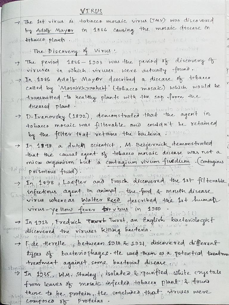 3.virus Notes | PDF
