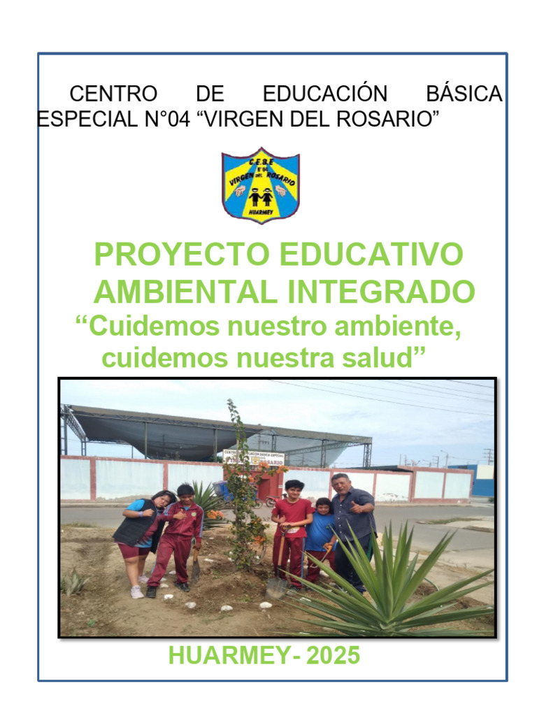 Peai Cebe 2025 Mayo 2025 | PDF | Residuos | Sustentabilidad