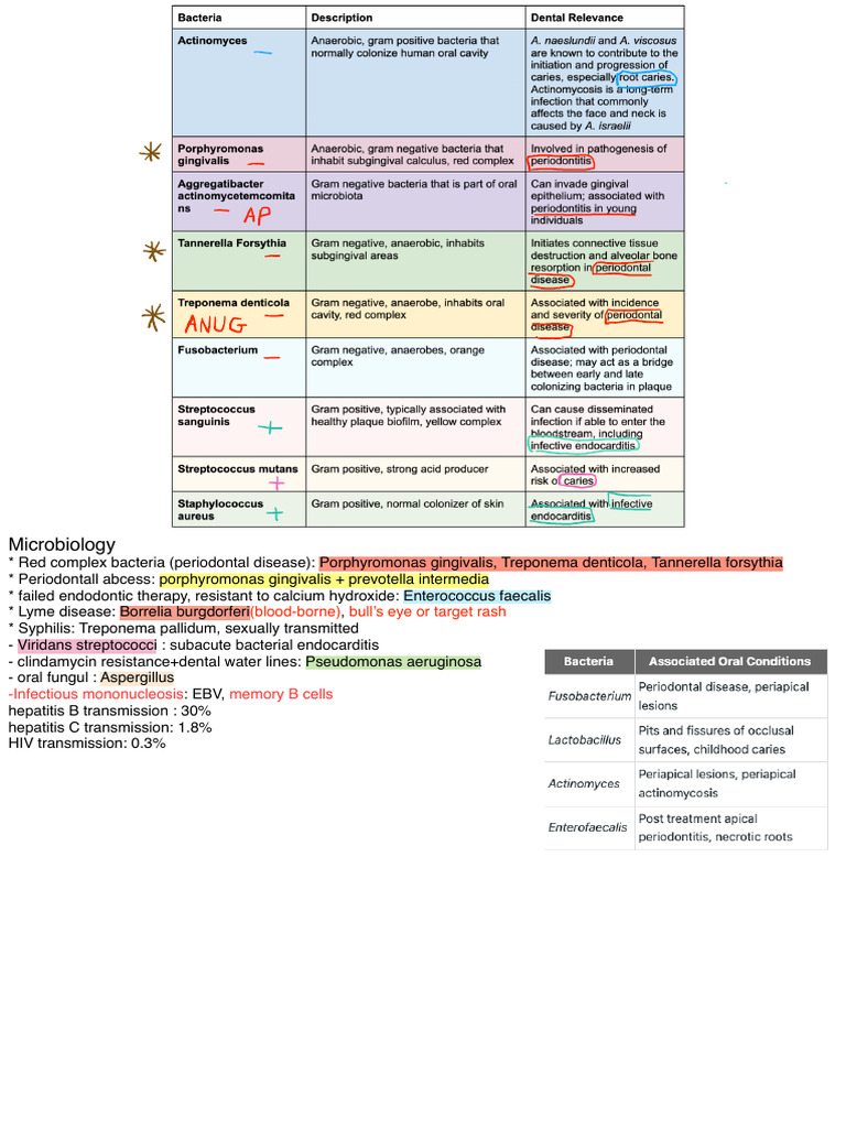 Key Microbial Pathogens and Diseases | PDF