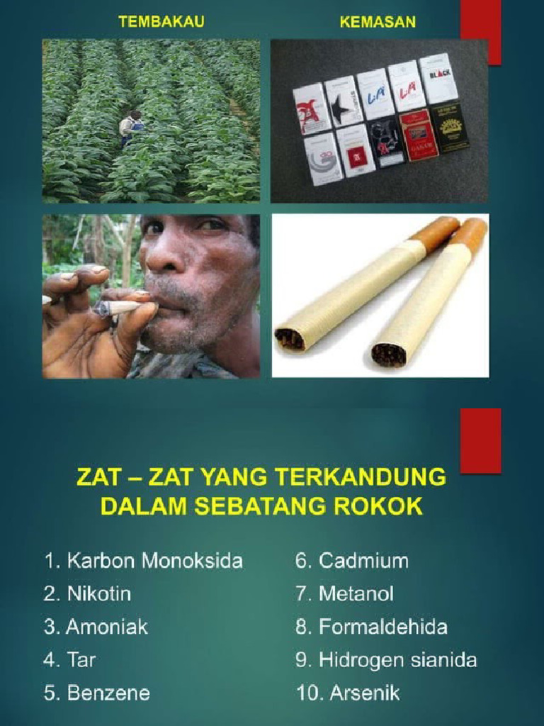 Bahaya Rokok | PDF