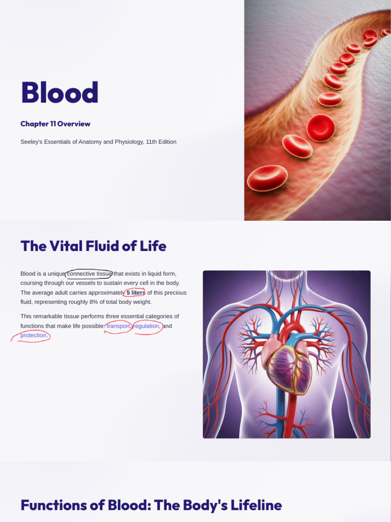 01 Blood | PDF | Red Blood Cell | Blood