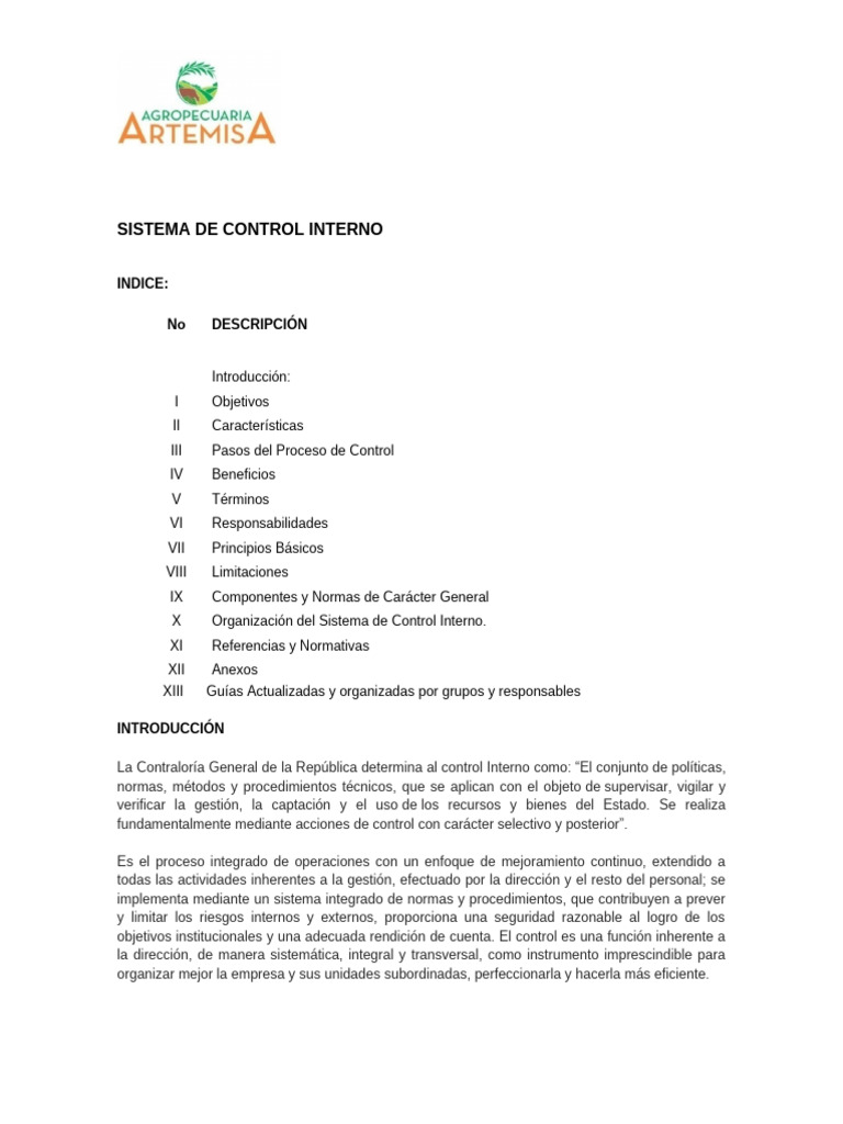 Guía del Sistema de Control Interno | PDF | Contabilidad | Presupuesto