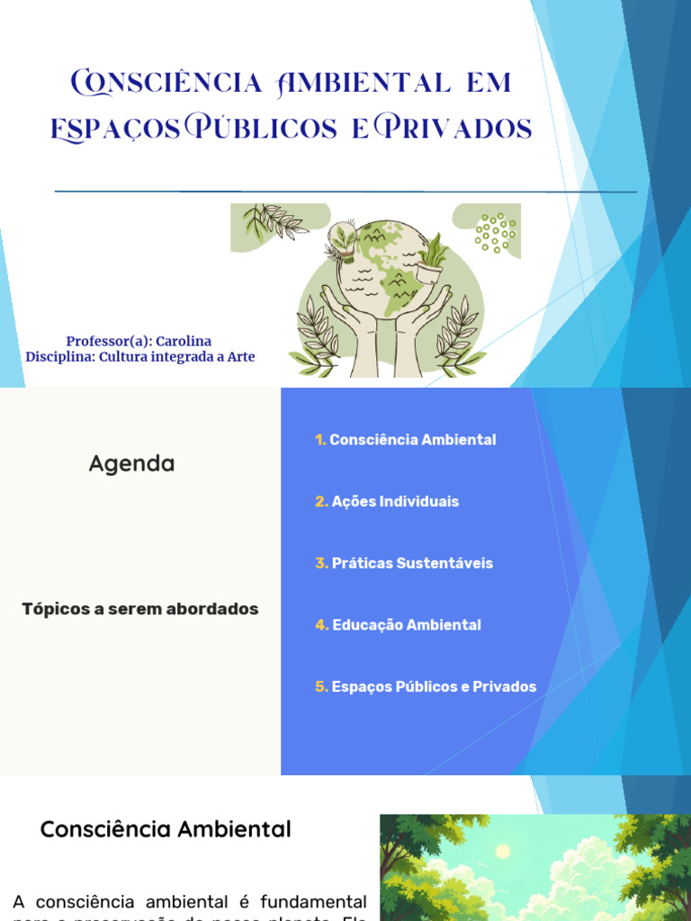 Consciência Ambiental e Sustentabilidade | PDF | Sustentabilidade ...