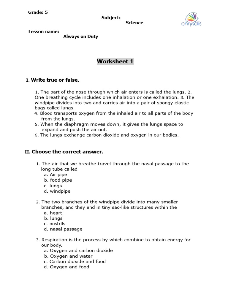 Grade 5 Science: Respiratory System Worksheet | PDF | Breathing ...