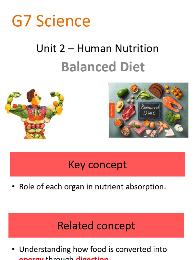 Understanding Human Nutrition Basics | PDF | Foods | Nutrients
