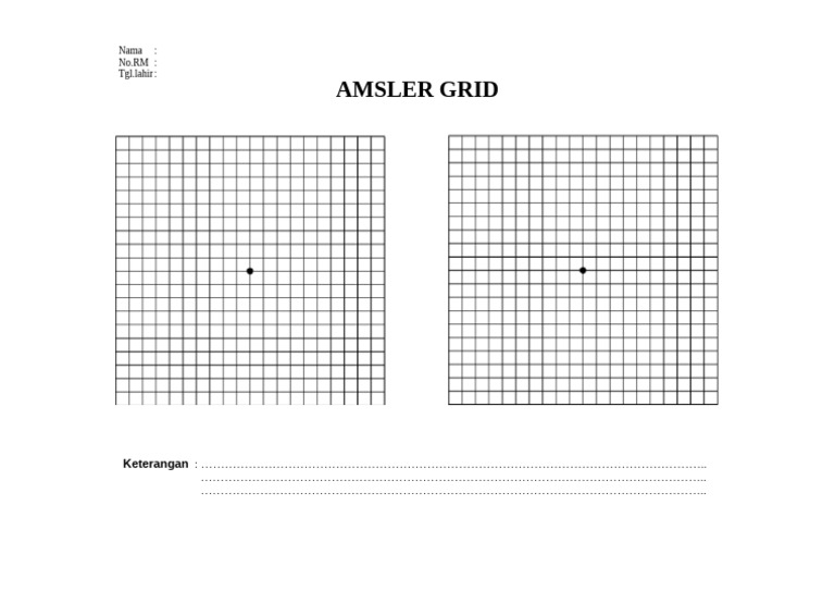 Amsler Grid | PDF