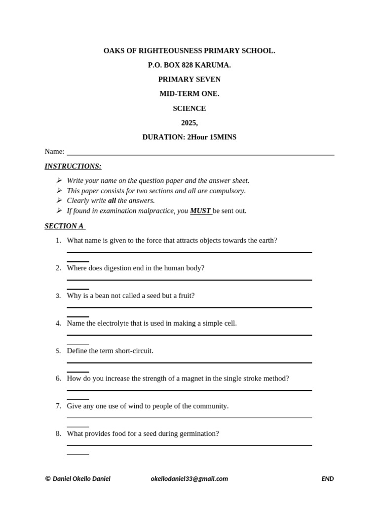 P7 SCIENCE | PDF | Seed