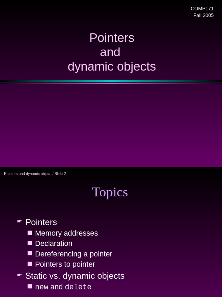 Understanding Pointers and Dynamic Objects | PDF | Pointer (Computer ...