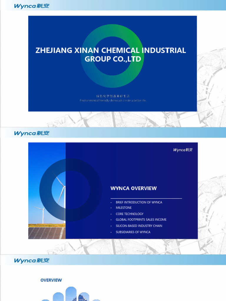 Wynca's Organic Silicon Innovations | PDF | Silicone | Photovoltaics