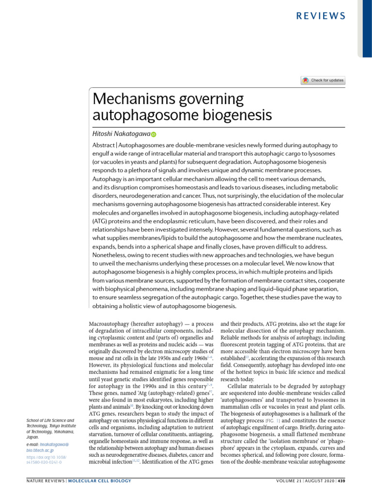 Mechanisms of Autophagosome Biogenesis | PDF | Autophagy | Lysosome