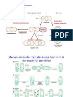 Conjugacion Transformacion