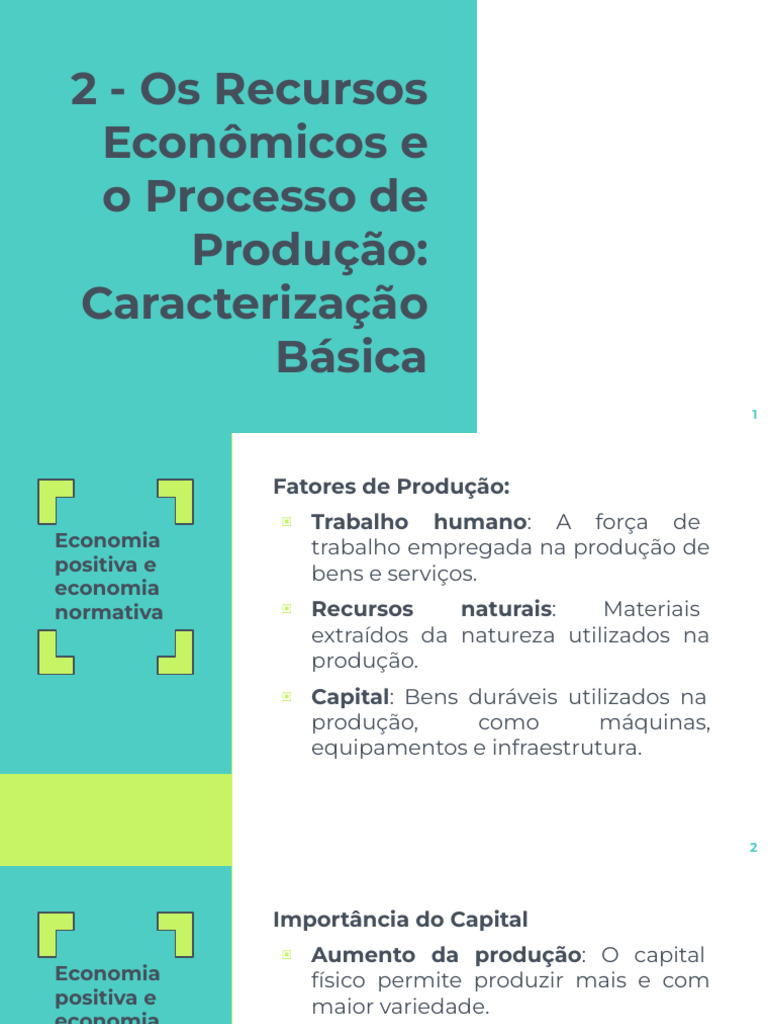 2 - Os Recursos Econômicos e o Processo de Produção | PDF | Capital ...
