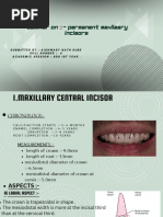 Anatomy of Maxillary Central Incisor | PDF | Dental Anatomy | Dentistry ...