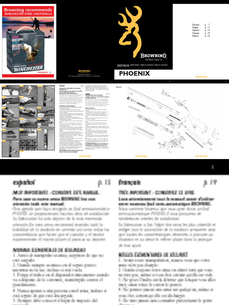 PHOENIX | PDF