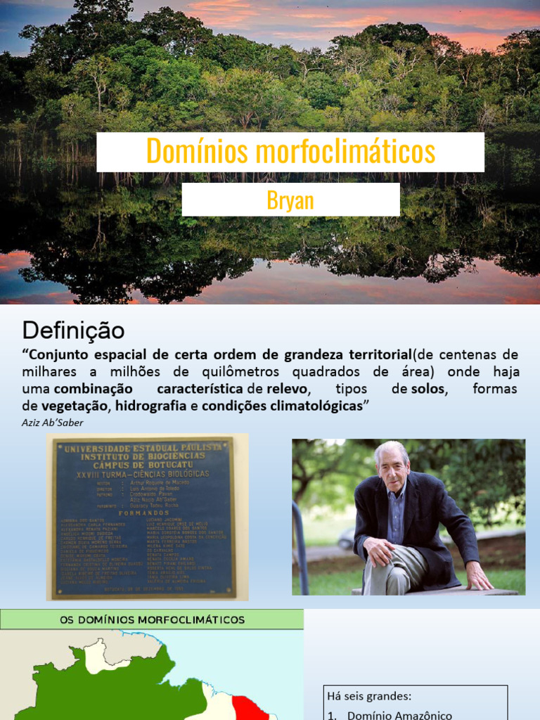 Domínios Morfoclimáticos do Brasil | PDF | Florestas | Floresta Amazônica