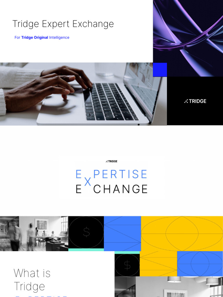 Tridge Expert Exchange Intro | PDF | Business | Economies