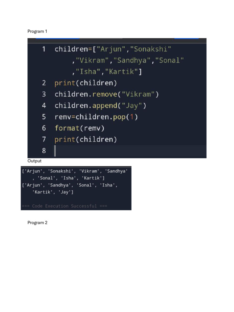 Program Outputs Overview | PDF