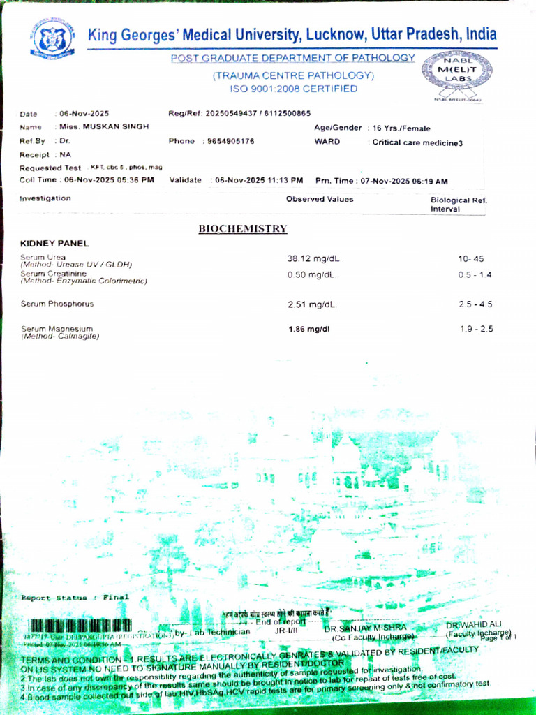 Adobe Scan 07 Nov 2025 | PDF | White Blood Cell | Blood