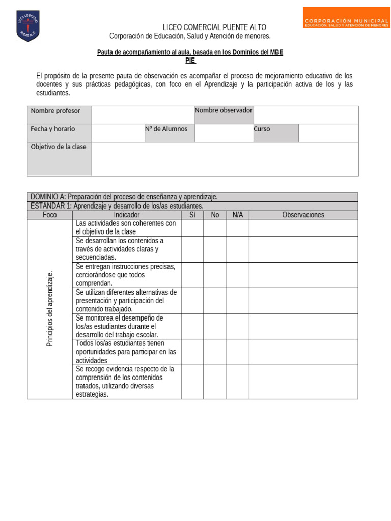 Pauta de Acompañamiento Al Aula DOCENTES PIE 2025 | PDF | Maestros ...