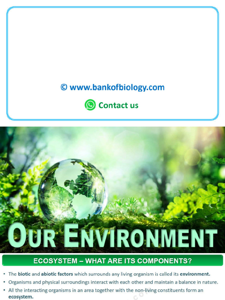 15 Our Environment Pic PPT Class 10 1600 PDF - Gdrive.vip | PDF