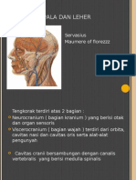 Anatomi Kepala Dan Leher