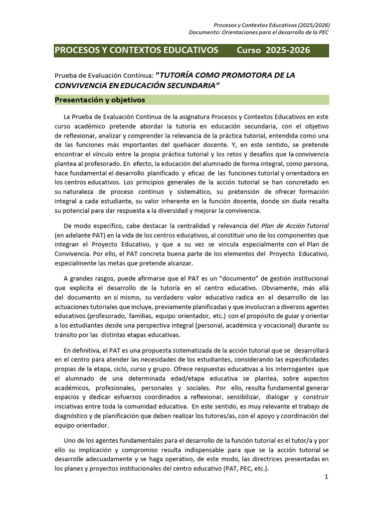 Pec Pyce - 2025 - 2026 | PDF | Evaluación | Maestros