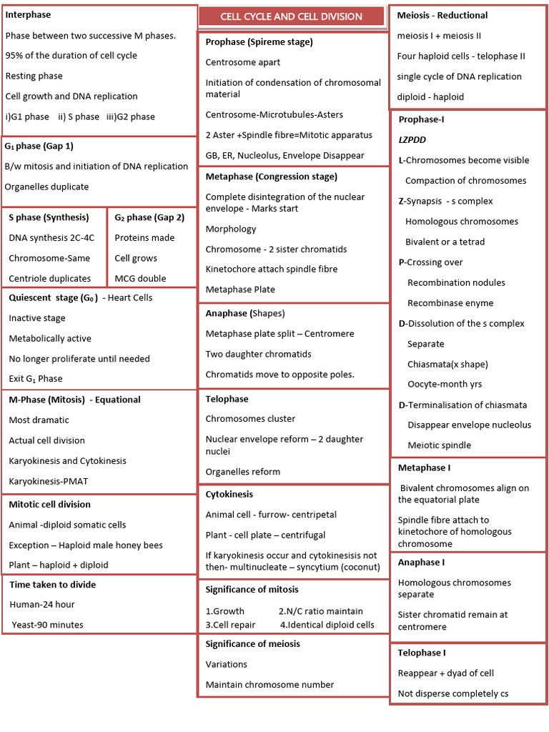 Cell Cycle and Division Overview | PDF | Mitosis | Meiosis
