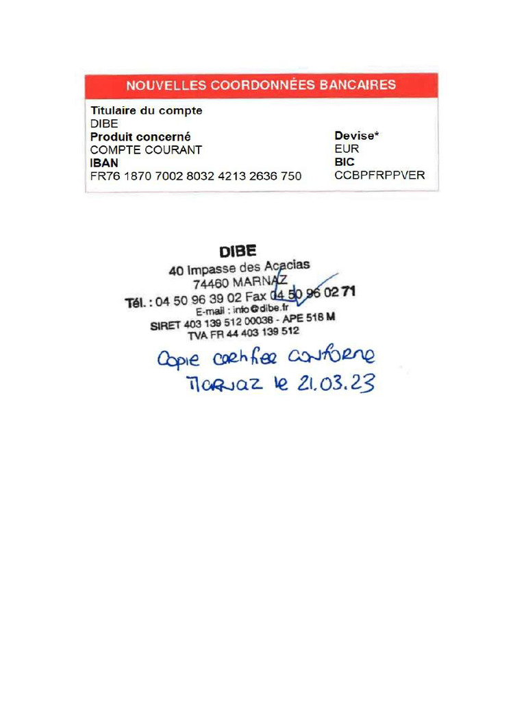 Rib Dibe | PDF