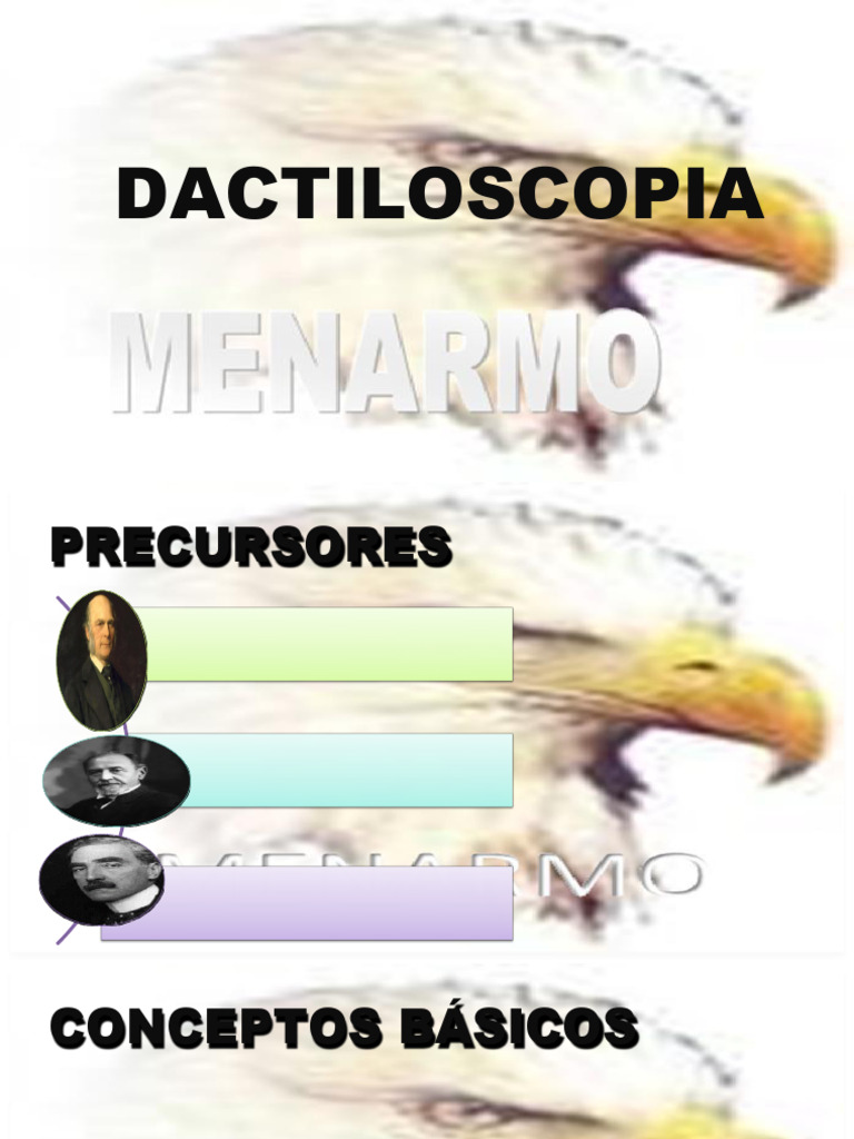 Introducción a la Dactiloscopia y sus Tipos | PDF | Huella dactilar ...