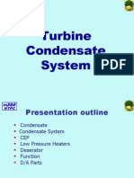 Condensate System