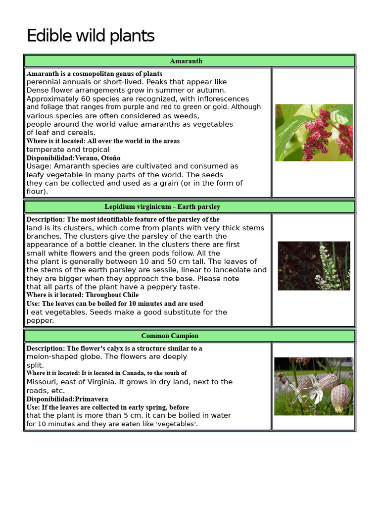 edible-wild-plants-guide-pdf-branches-of-botany-plant-morphology