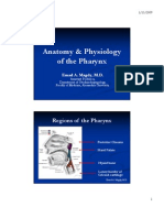 Anatomy & Physiology of the Pharynx