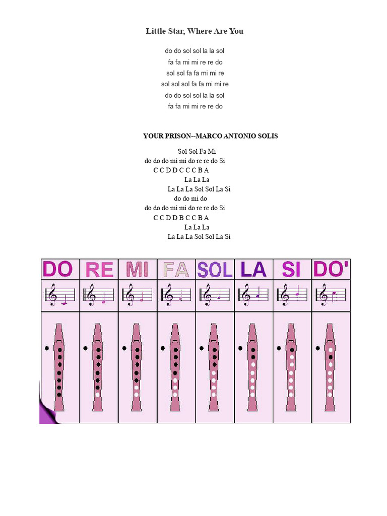 Flute Notes | PDF