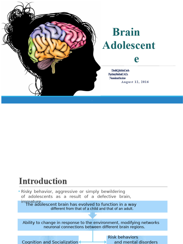 Adolescent Brain | PDF | Adolescence | Executive Functions